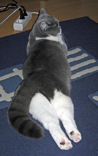 《电竞界的“金牌搭档”：合作背后的故事》，电竞与品牌合作