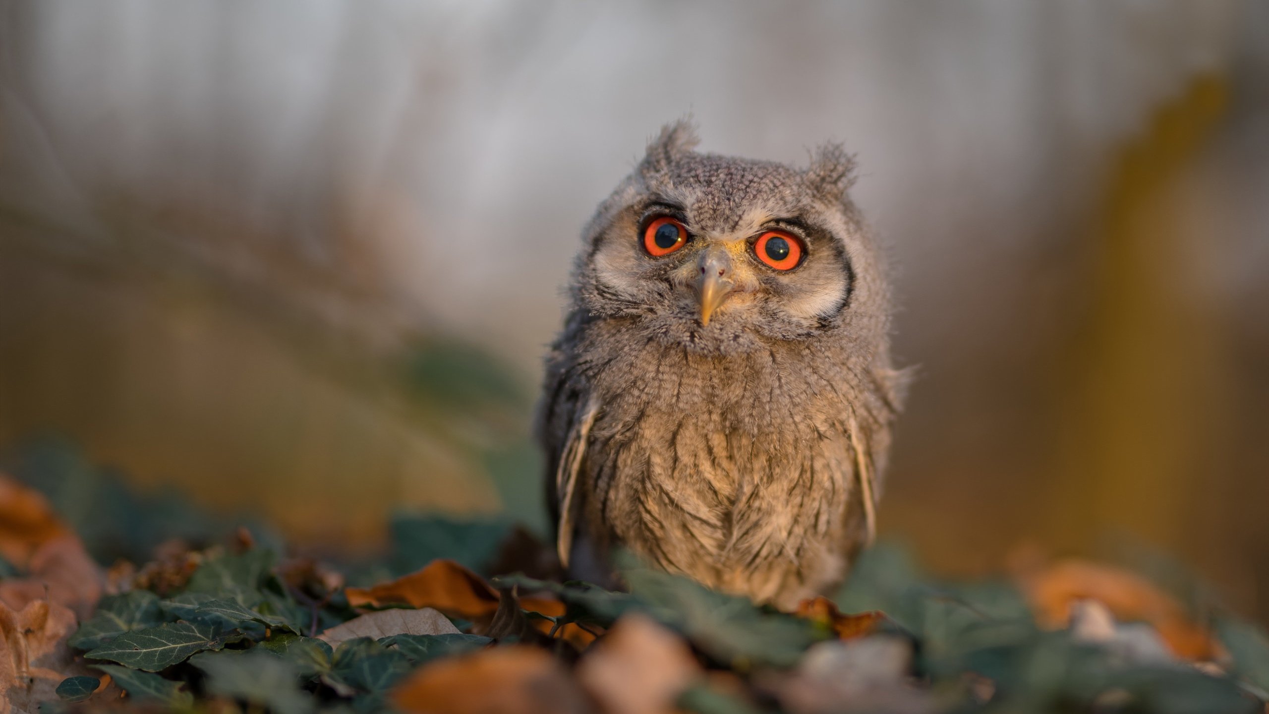 《电竞界的“金牌搭档”：合作背后的故事》，电竞与品牌合作