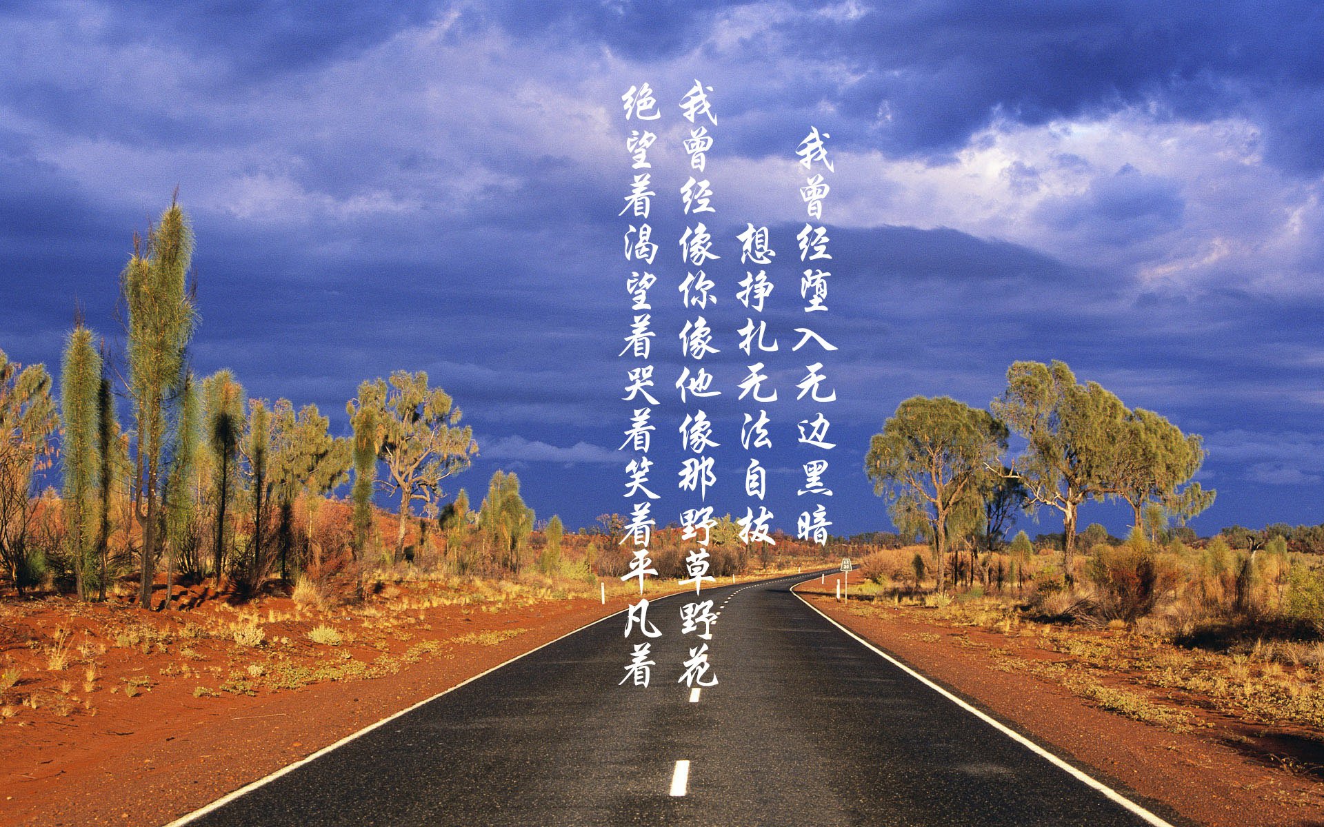 卢克·利特勒在英超飞镖联赛中打破个人得分纪录